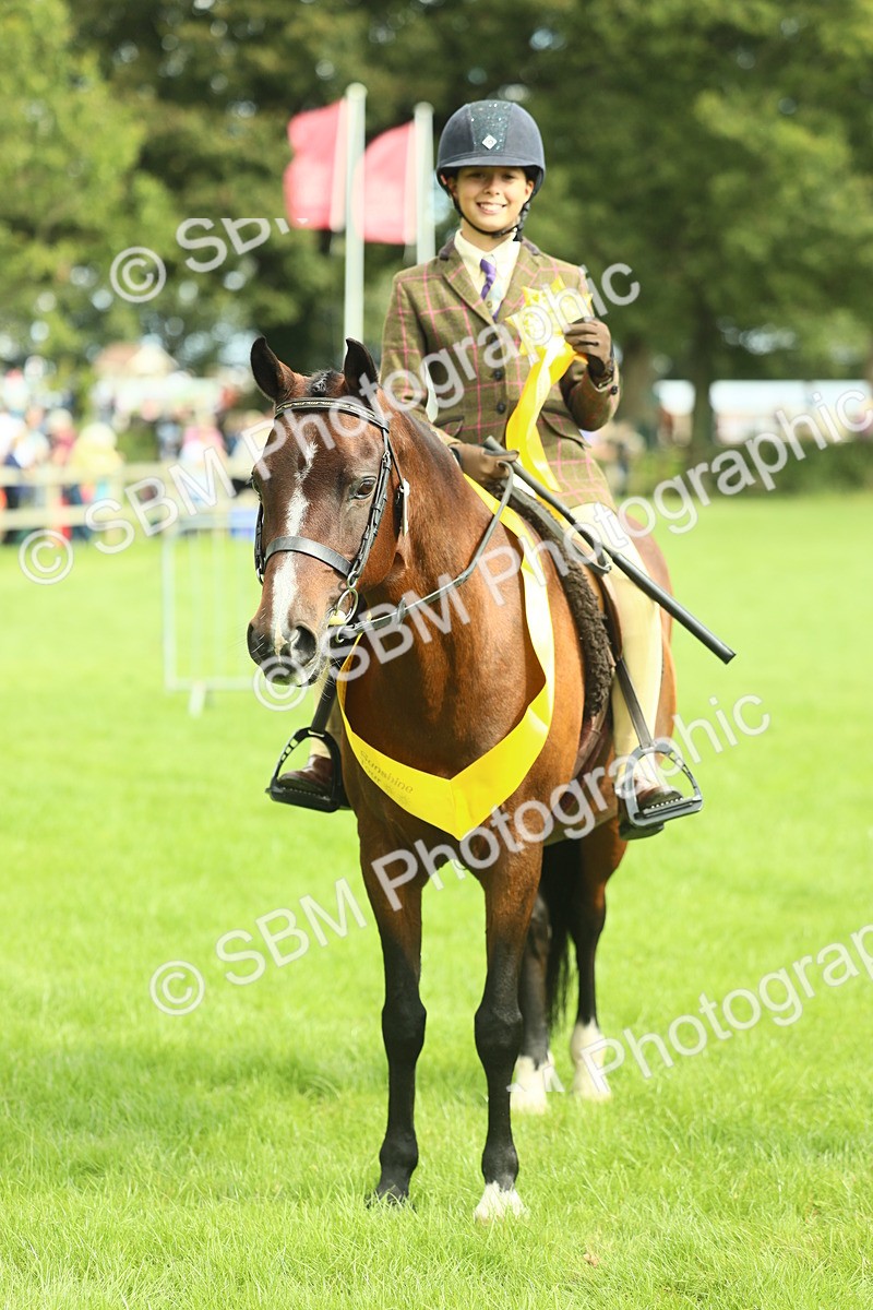 SBM_44817 - S31 - Working Hunter Pony