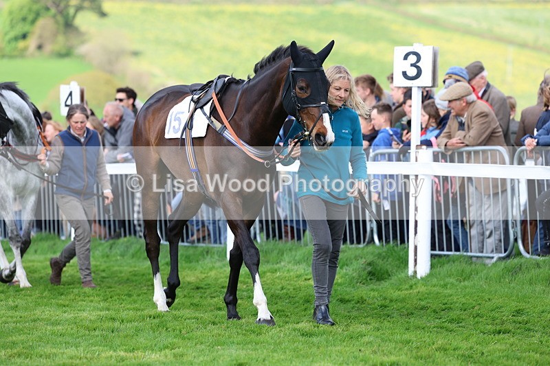 3E7A1130 - Race 6: Maiden (NWFAA)