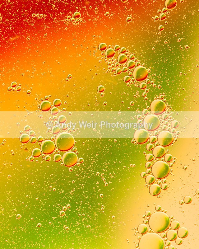 20140204-3K8A8684 - Oil & Water