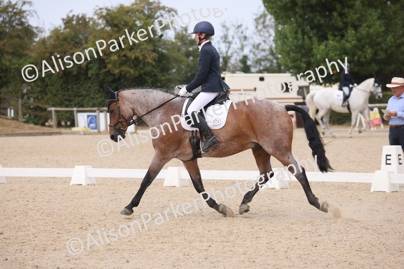 20260816-0983 - Class 4 - Novice 6