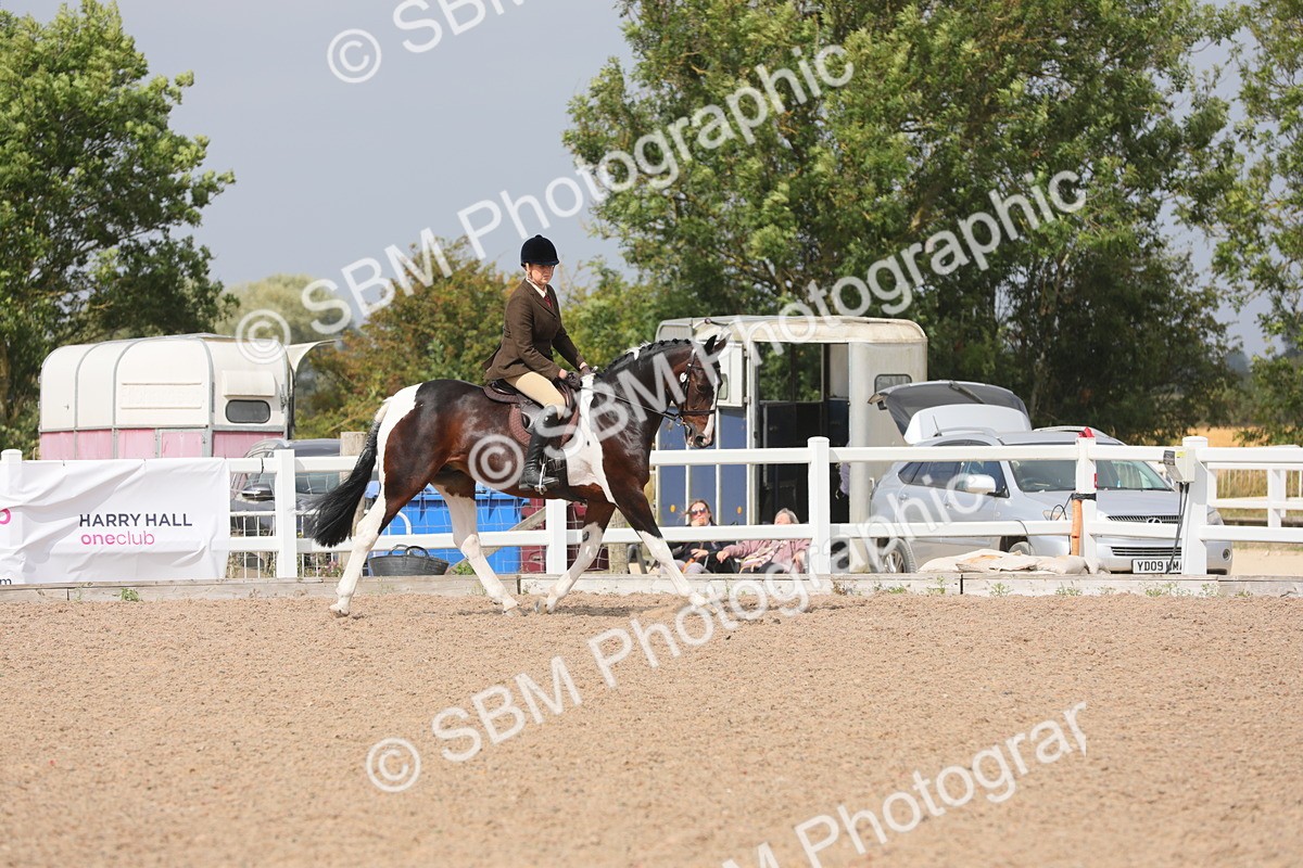 SBM_13345 - Class 308 Ridden Coloured Horse