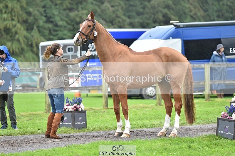 231018-123716-00401 - 049-AUGUSTUS.IMPERIOUS-Ines.Mitchell-TrotUp