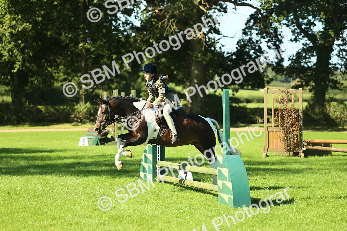 SBM_37535 - S29 - Novice & Newcomers Working Hunter Pony