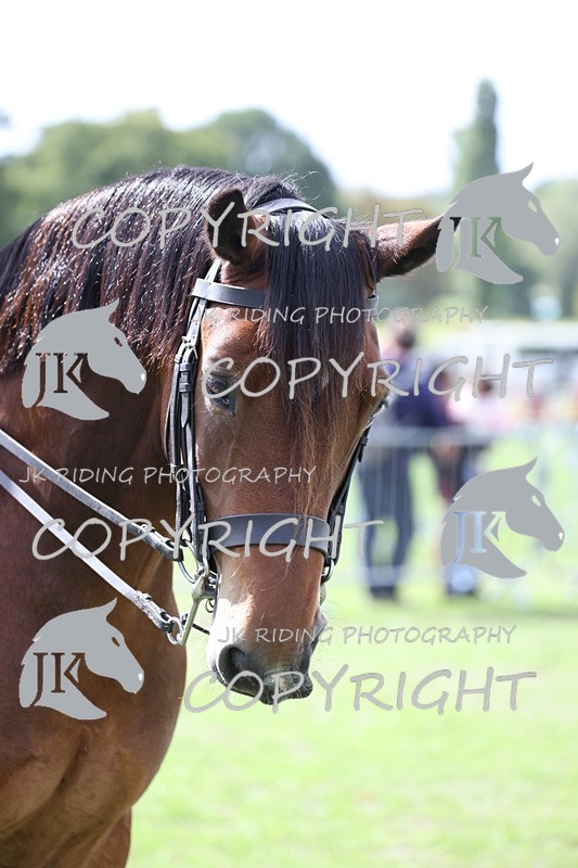 APP_3238 - Class 11 Veterans ridden