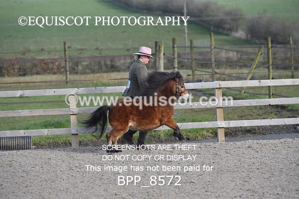 BPP_8572 - RING 2 - M&M