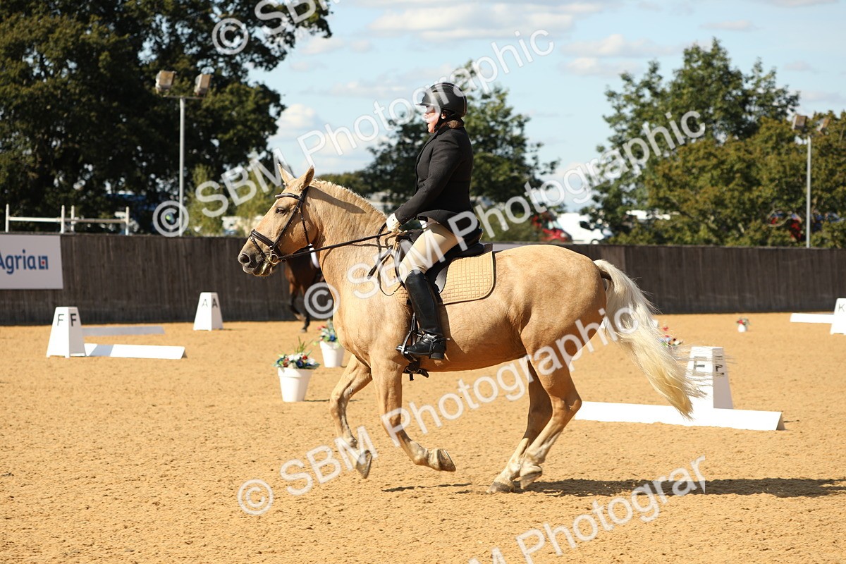 SBM_24591 - D17 - Grand Tour Championship - Novice 27