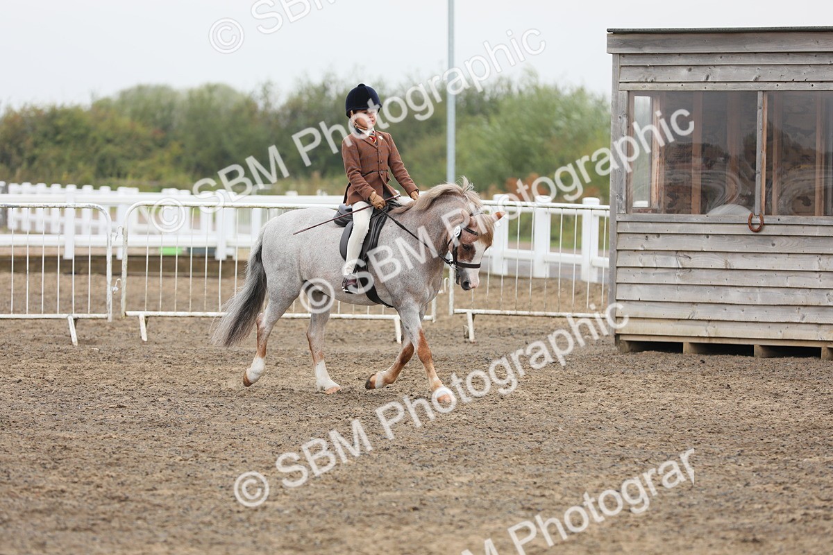 SBM_21810 - Class 806 - Young ridder 10 Yr & Under