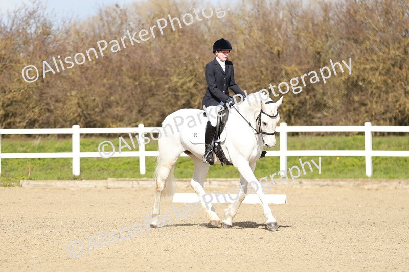 20260314-2966 - DR3 - Prelim 1