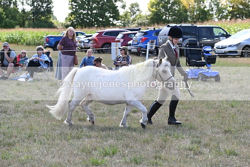 WJ6_4926 - Class 17 Mountain & Moorland