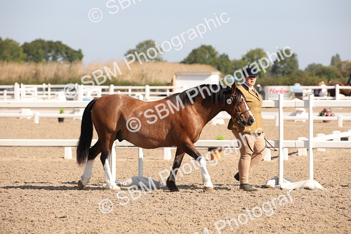 SBM_02648 - Class 16 IH M&M Wildcard