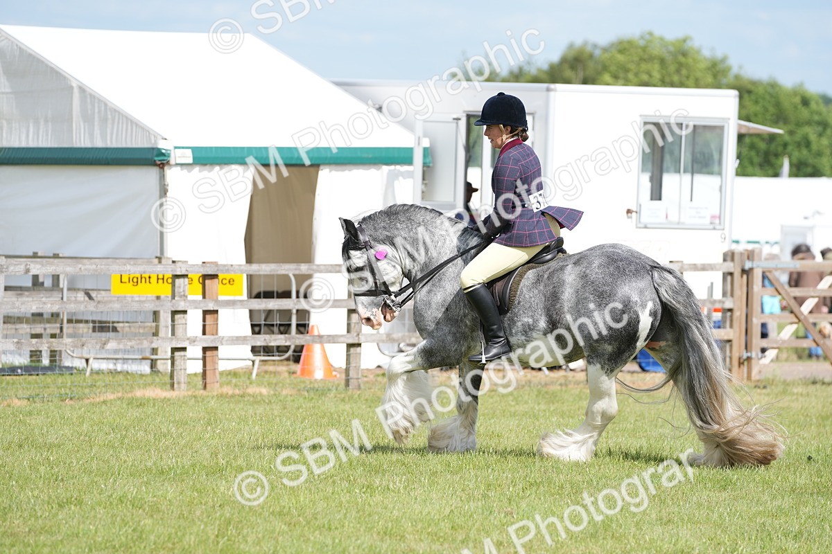 SBM_17305 - Class 107-108 - LIHS BSPS Performance Coloured Horse Pony