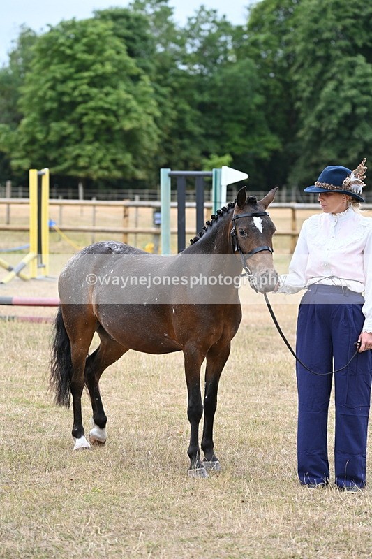 WJ6_8201 - Class 10 Coloured in Hand
