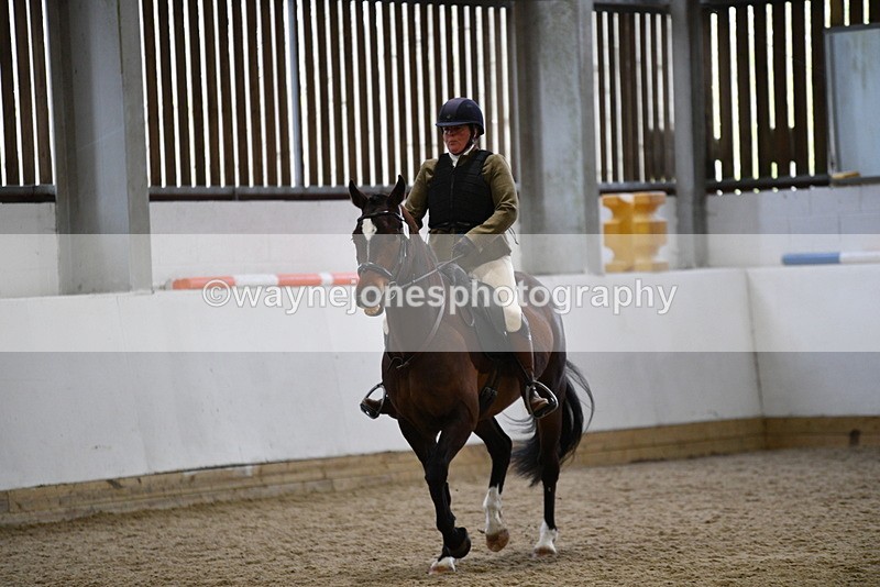 WJ5_7971 - Class 13 Ridden Part Breed