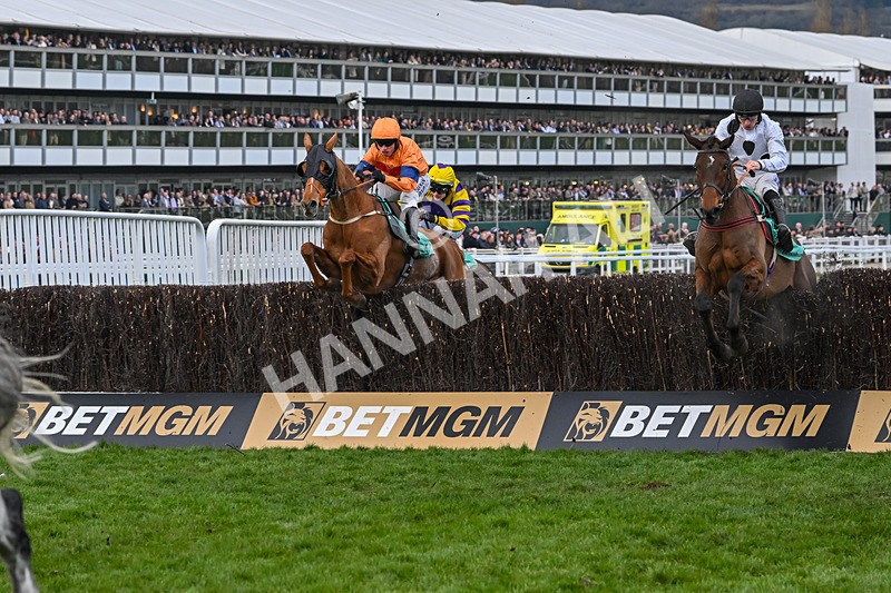 120325-Fringill Dike-WR-7836 - 12th March