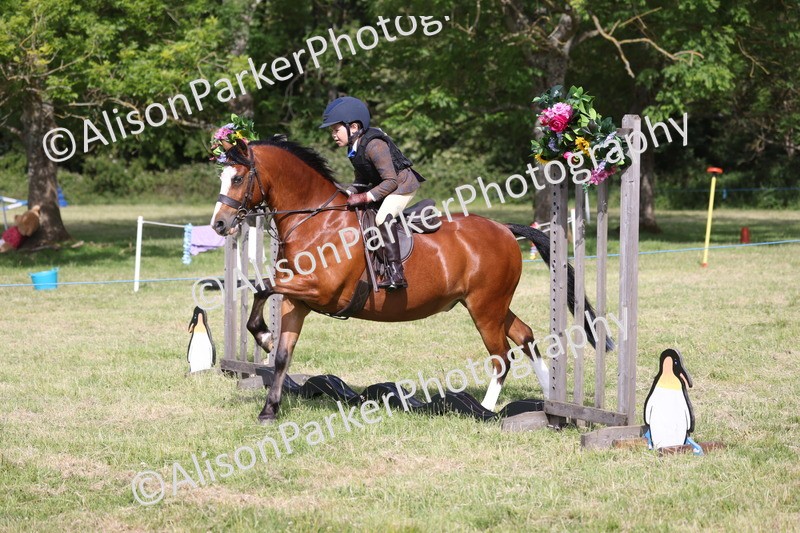 20260614-0484 - Class 20 - Beginners Working Hunter Pony