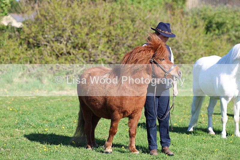 3E7A8398 - Class 12: M & M Small Breeds