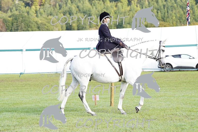 _DSC9307 - Class 8 & 17 Ridden Hunter & Ridden Hunter Pony