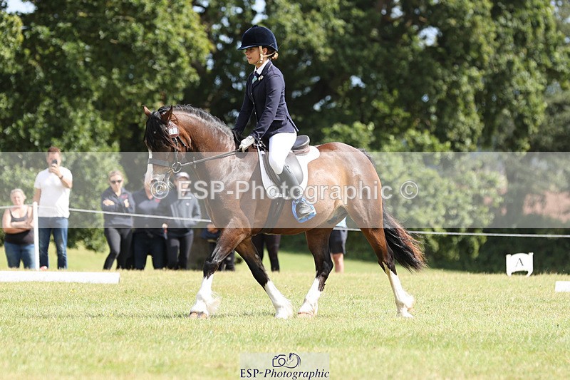 240824X-132015-27289 - D80 Section G and H 12.00 to 13.30