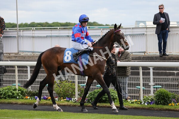 yr12052022r7-3 - Race 7 5.15pm Fidomoney Stakes