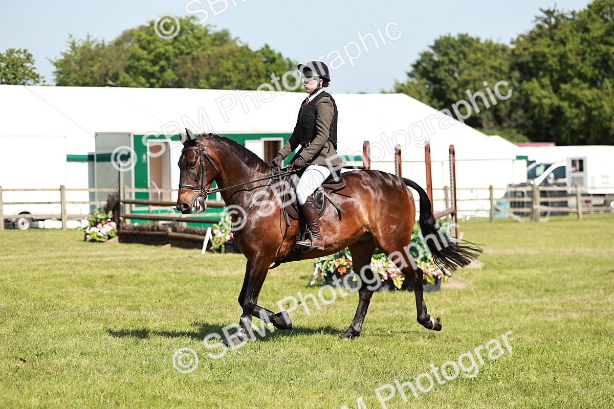 SBM_18411 - Class 112-113 - BSPS LIHS Working Sports Pony