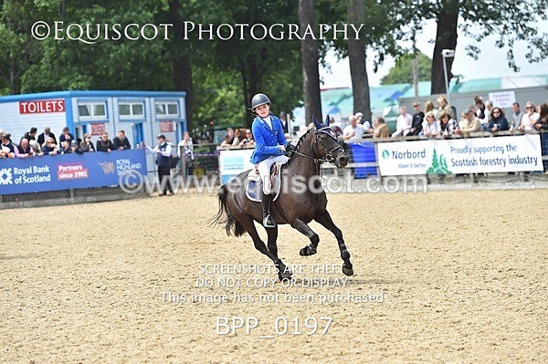 BPP_0197 - RHS 2019 Selection - *Just some random spectator shots so Lucky Dip if you are there!