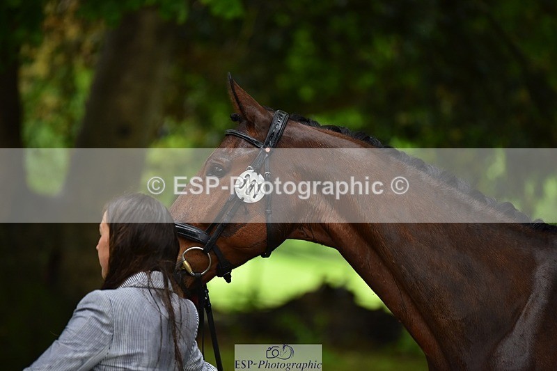 240522-153638-00476 - 381-MADFORD_LAW-Anna_Johannson