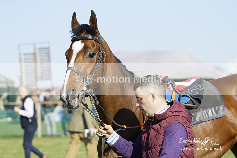 PtP 190322 631 - Wilton Hunt PtP Milborne St Andrew 19/03/22