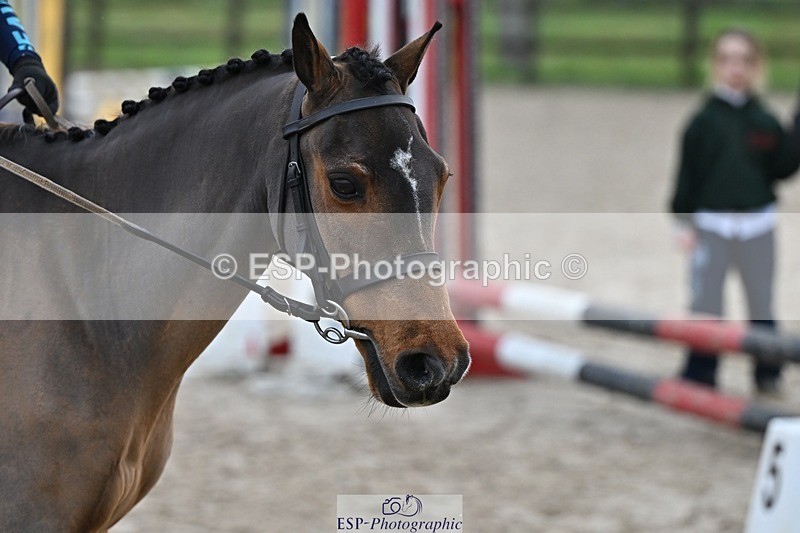 241110-094434-00064 - 40cm Showjumping