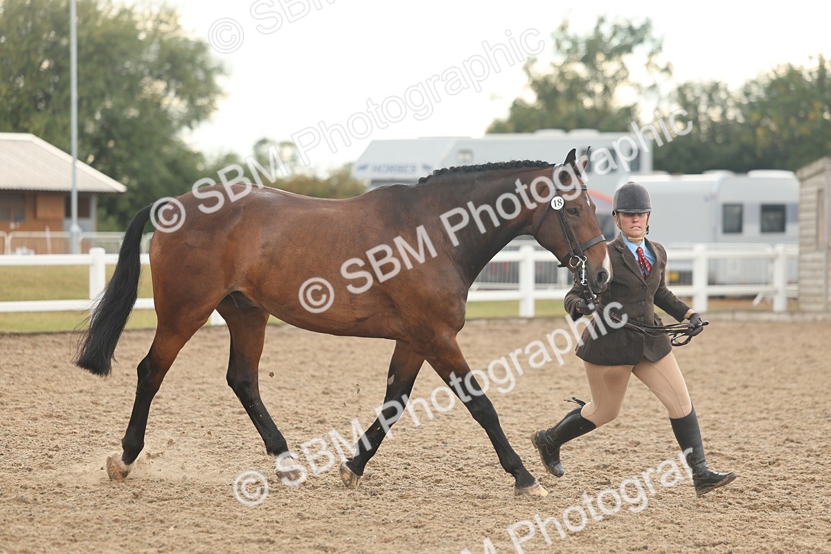 SBM_07887 - Class 28 - IH Veteran Horse