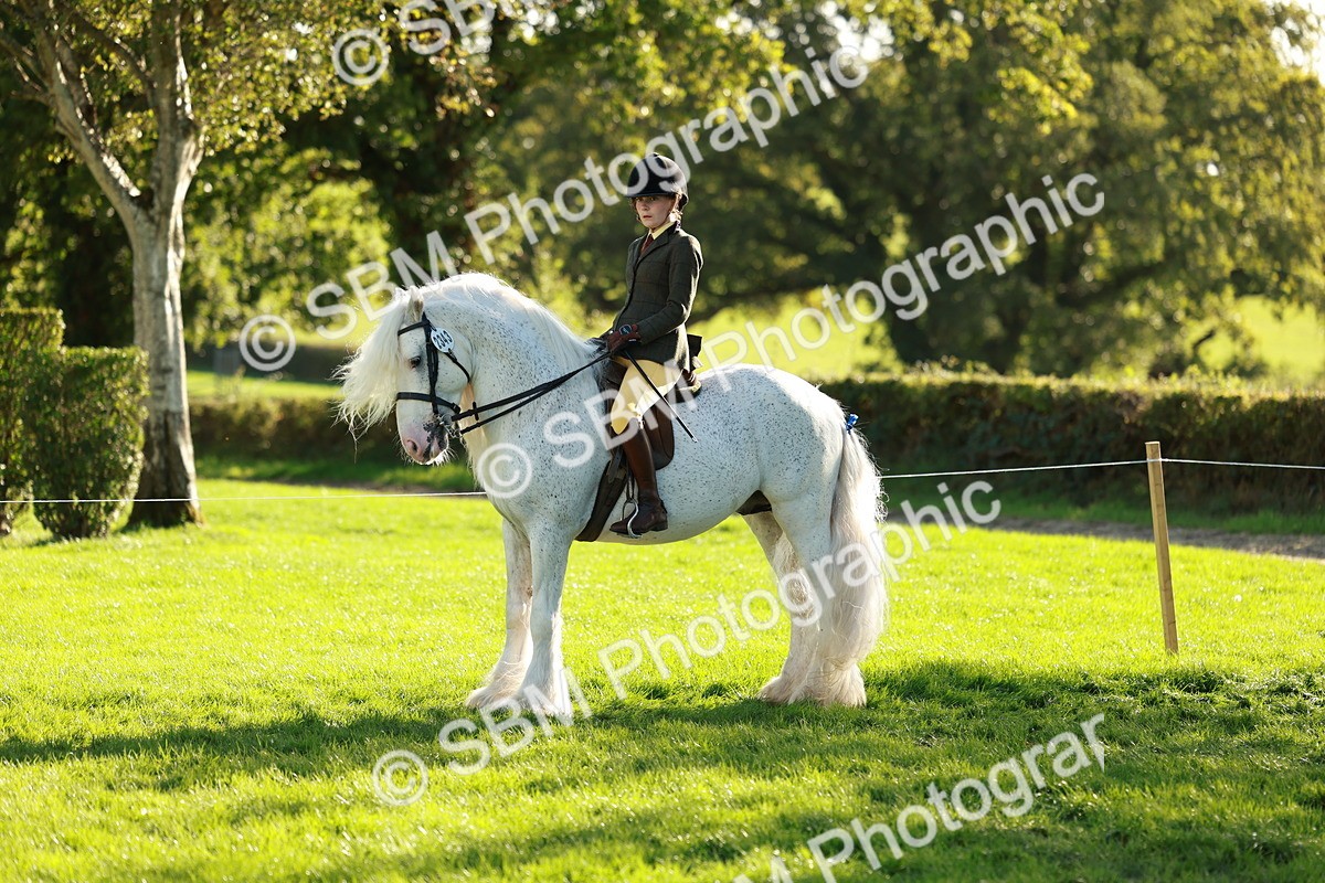 SBM_28732 - S7 - Novice & Newcomer Ridden Pony