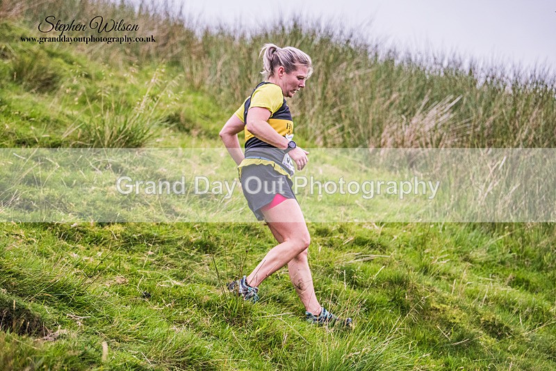 Steel Fell-800 - Steel Fell Race Wednesday 9th August 2023