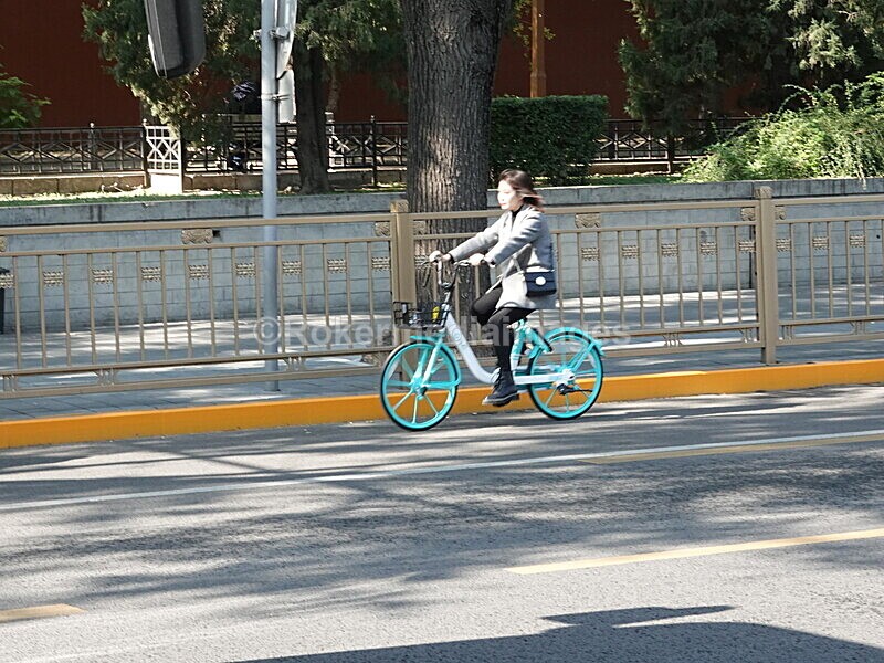 CHINA__1162 - China 2019