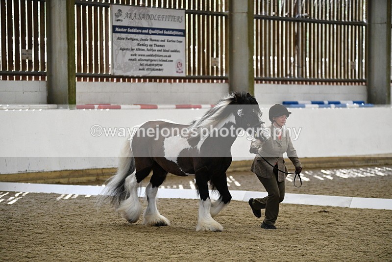 WJ5_5027 - Class 7 In hand coloured / odd coloured