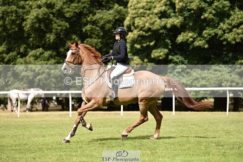 260704A-100602-12651 - Cls 41 Snr Fox inc 6 Year Old