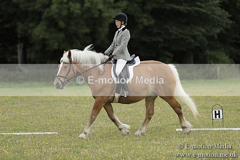 BVR160717-678 - Class 1 & 23a Dressage 16/07/17