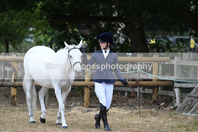 WJ7_8664 - Class 4a Prettiest Mare 14.2hh and over