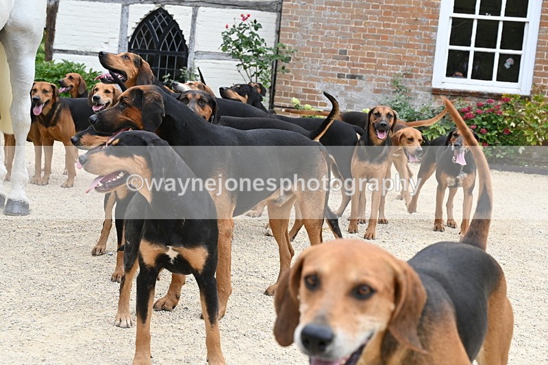 WJ6_3562 - Berks & Bucks - The Old farmhouse - Hound Exercise 20-08-25