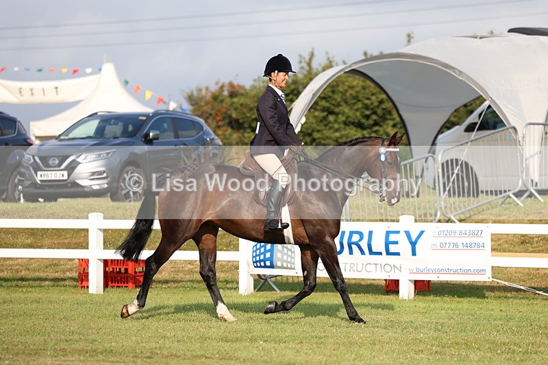 3E7A7652 - Class 1: Rising Star Small Hack/Riding Horses