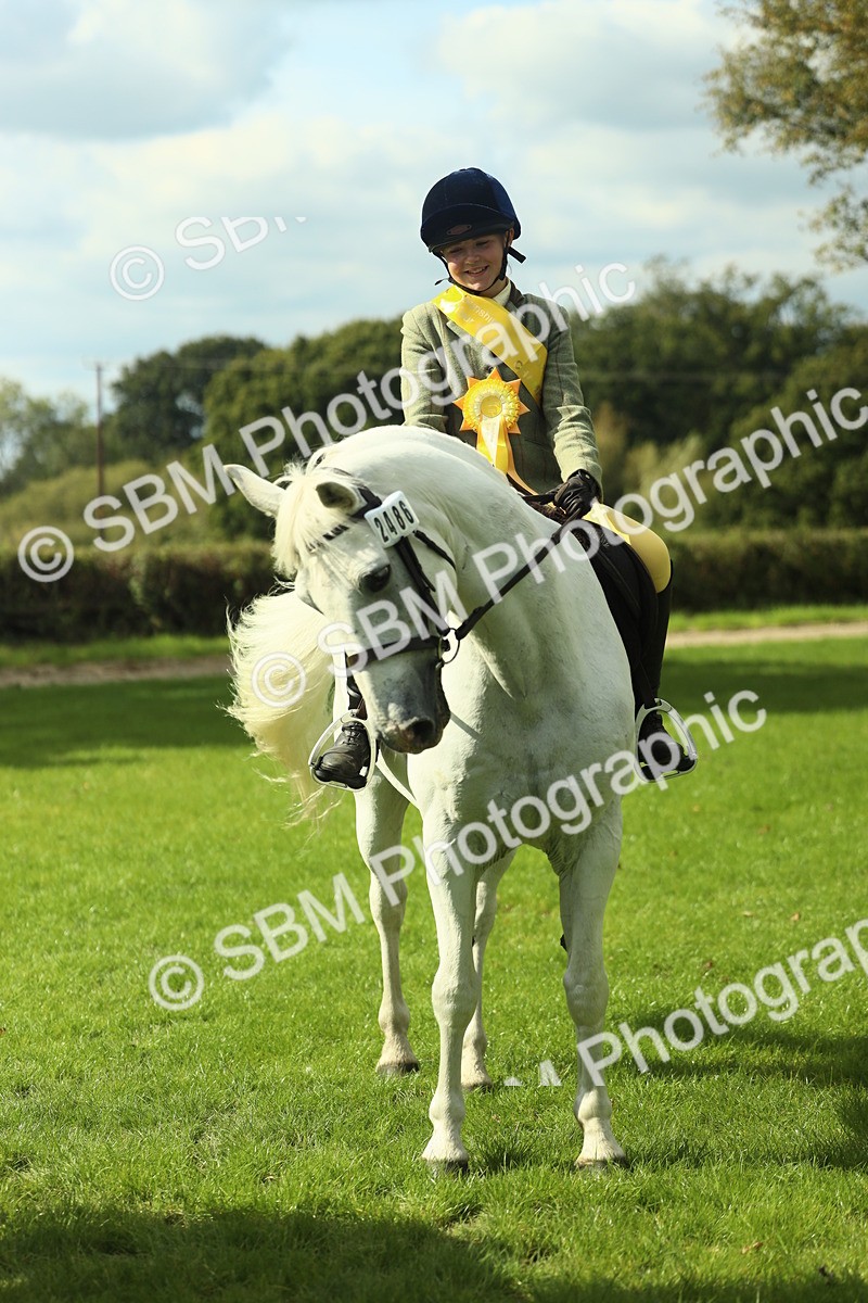 SBM_44986 - Working Hunter Pony Supreme Championship