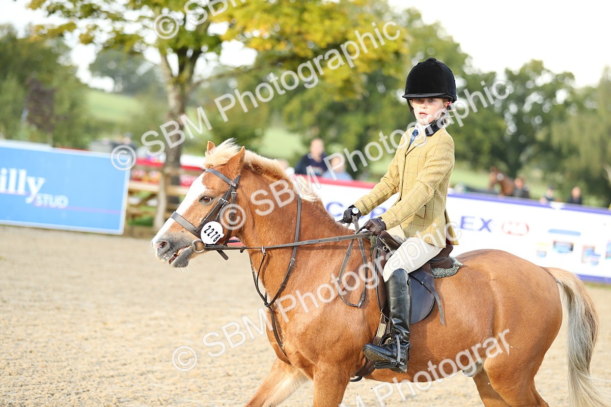 SBM_34142 - J60 Clear Round 50cm