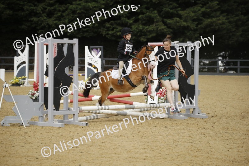 20250622-1497 - 40cm