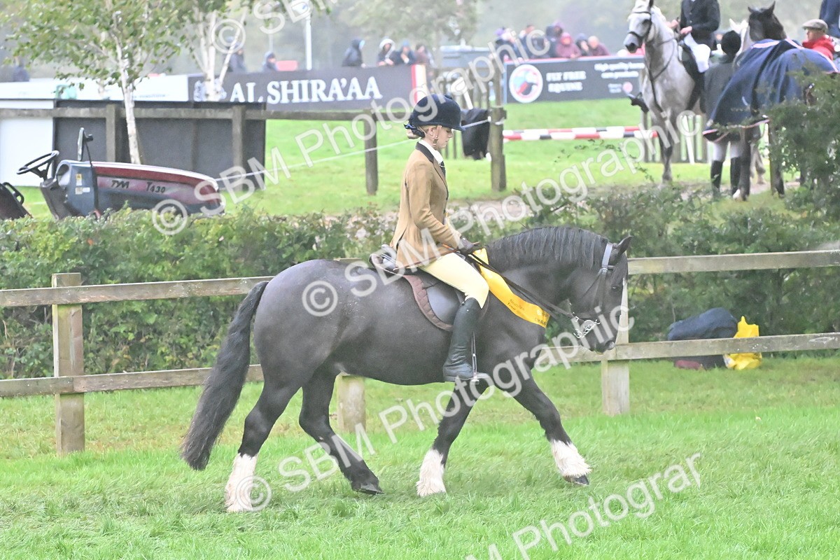 SBM_72171 - Equitation Supreme Championship
