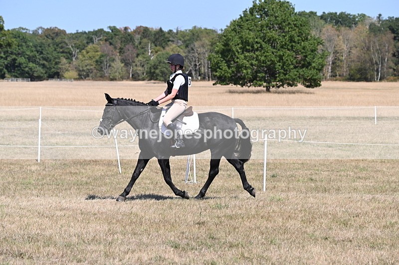 WJ6_8827 - Class 38 Ridden Riding Horse/Pony