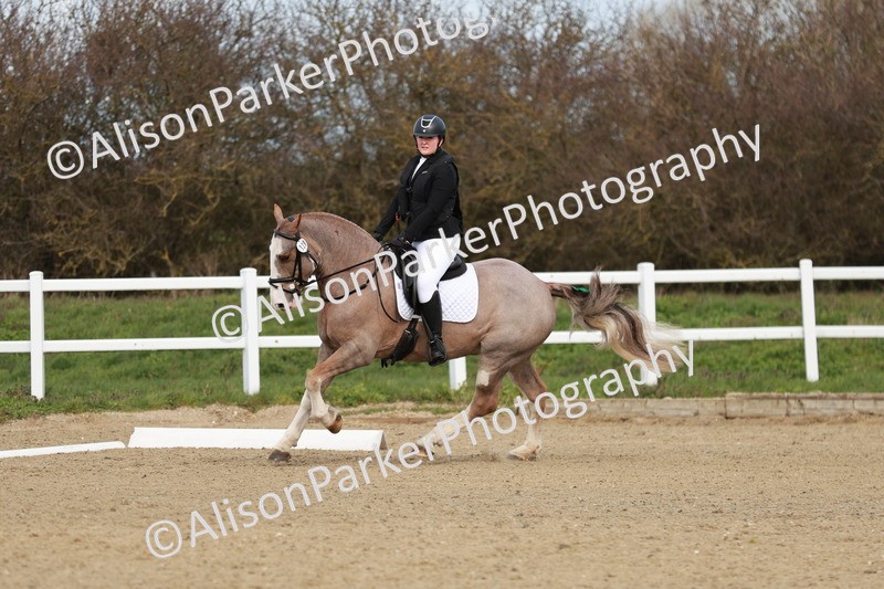 20260314-2767 - DR3 - Prelim 1