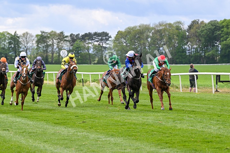 030525-Race 2-Under The Radar-2574 - Race 2