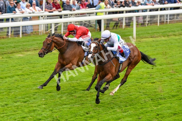 180523-Race 2-Free Wind-9567 - Race 2 2.25pm Al Basti Equiworld Dubai Middleton Fillies' Stakes