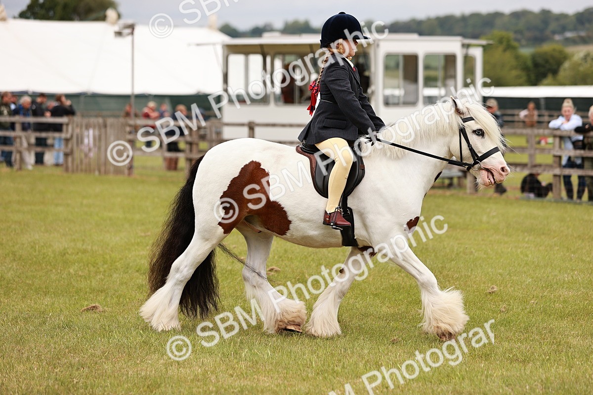 SBM_06230 - Class 39-41 TGCA In Hand and Ridden
