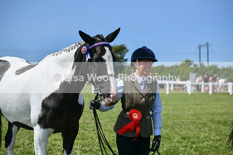 DSC_7877 - Class 65: Coloured Horse 4yrs & Over