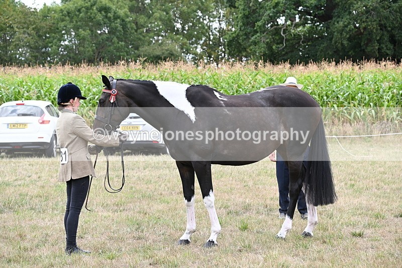 WJ6_5627 - Class 18 In-hand Coloured