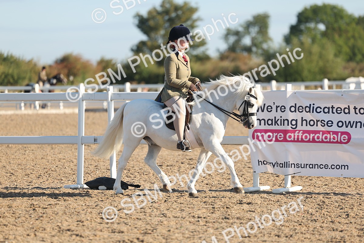 SBM_10893 - Class 301 - Ridden M&M Small Breeds